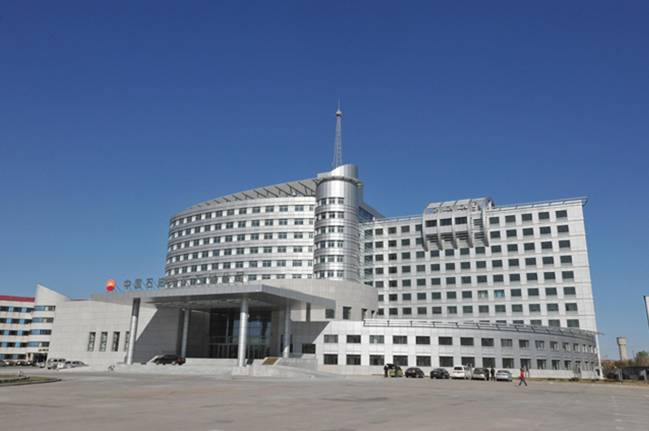 大庆石化.jpg